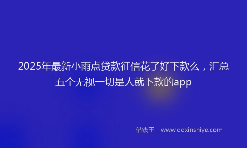 2025年最新小雨点贷款征信花了好下款么，汇总五个无视一切是人就下款的app