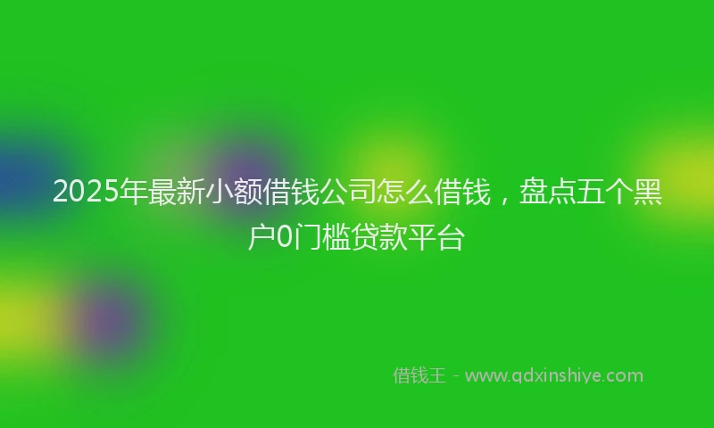2025年最新小额借钱公司怎么借钱，盘点五个黑户0门槛贷款平台