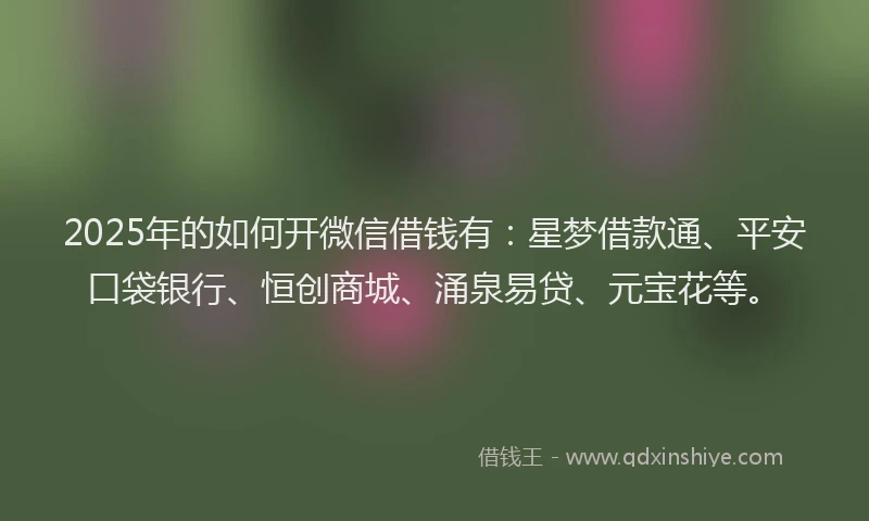 2025年的如何开微信借钱有：星梦借款通、平安口袋银行、恒创商城、涌泉易贷、元宝花等。