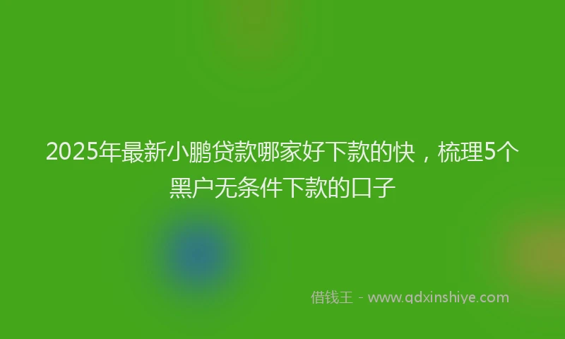 2025年最新小鹏贷款哪家好下款的快，梳理5个黑户无条件下款的口子