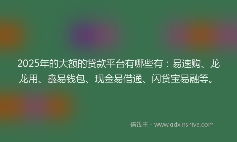 2025年的大额的贷款平台有哪些有：易速购、龙龙用、鑫易钱包、现金易借通、闪贷宝易融等。