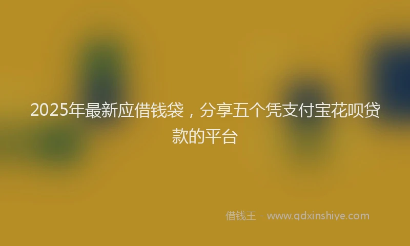 2025年最新应借钱袋，分享五个凭支付宝花呗贷款的平台