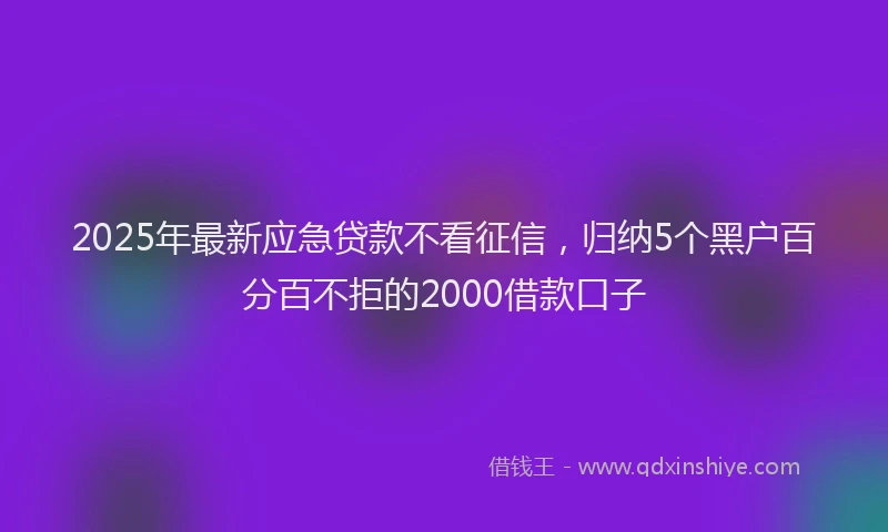 2025年最新应急贷款不看征信，归纳5个黑户百分百不拒的2000借款口子