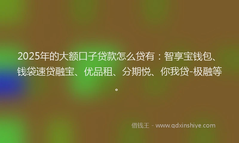 2025年的大额口子贷款怎么贷有：智享宝钱包、钱袋速贷融宝、优品租、分期悦、你我贷-极融等。
