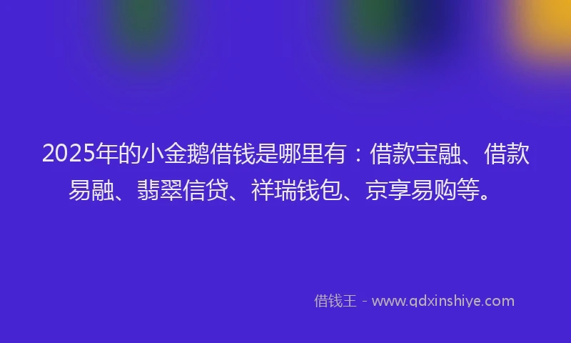 2025年的小金鹅借钱是哪里有：借款宝融、借款易融、翡翠信贷、祥瑞钱包、京享易购等。