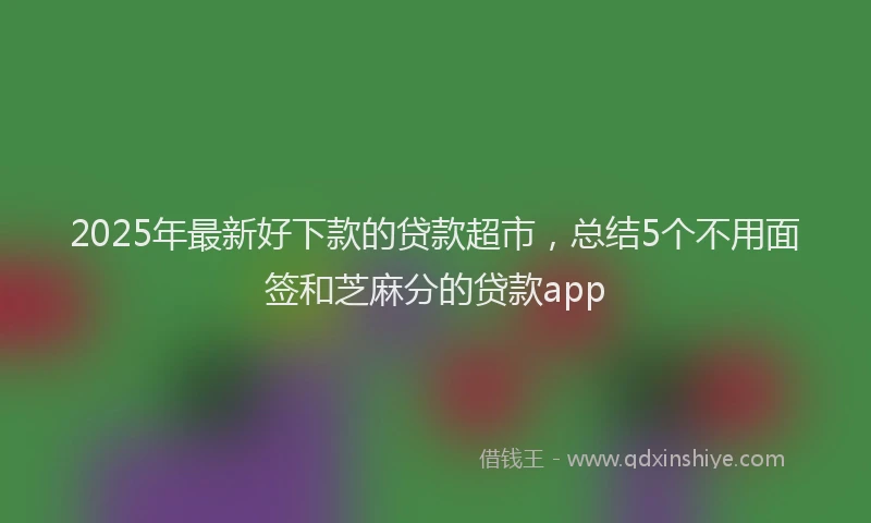 2025年最新好下款的贷款超市，总结5个不用面签和芝麻分的贷款app