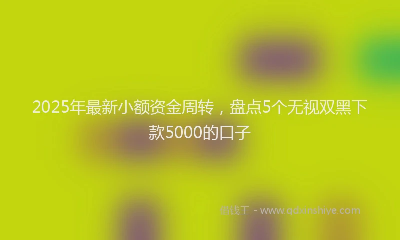 2025年最新小额资金周转，盘点5个无视双黑下款5000的口子