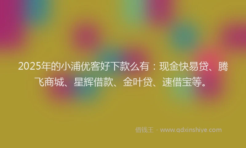 2025年的小浦优客好下款么有：现金快易贷、腾飞商城、星辉借款、金叶贷、速借宝等。