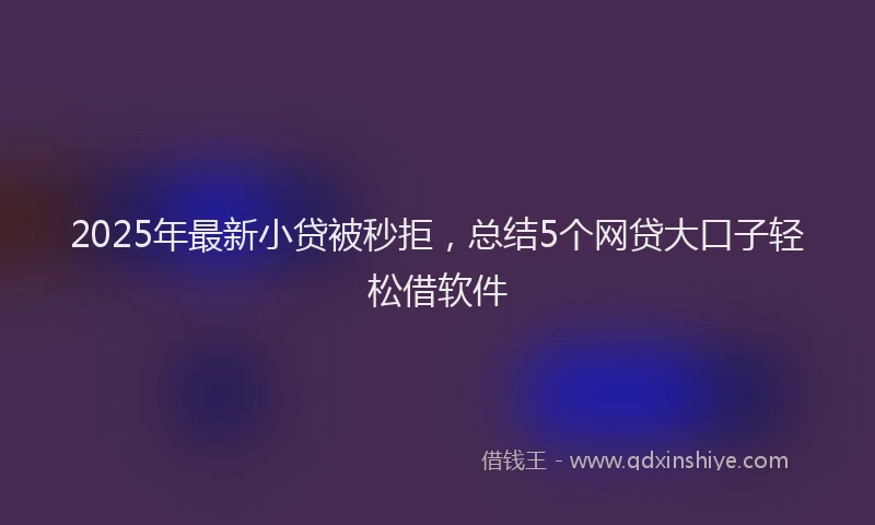 2025年最新小贷被秒拒，总结5个网贷大口子轻松借软件