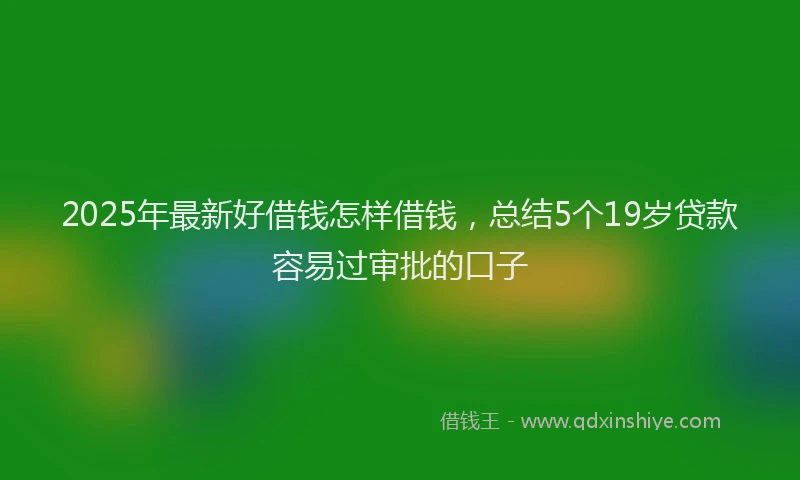 2025年最新好借钱怎样借钱，总结5个19岁贷款容易过审批的口子