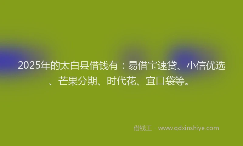 2025年的太白县借钱有：易借宝速贷、小信优选、芒果分期、时代花、宜口袋等。