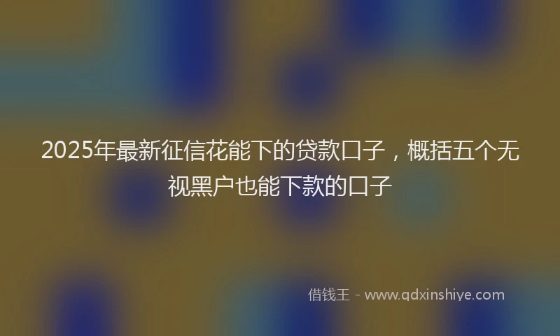 2025年最新征信花能下的贷款口子，概括五个无视黑户也能下款的口子