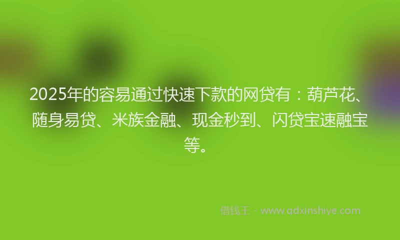 2025年的容易通过快速下款的网贷有：葫芦花、随身易贷、米族金融、现金秒到、闪贷宝速融宝等。