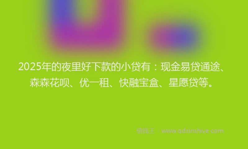 2025年的夜里好下款的小贷有：现金易贷通途、森森花呗、优一租、快融宝盒、星愿贷等。