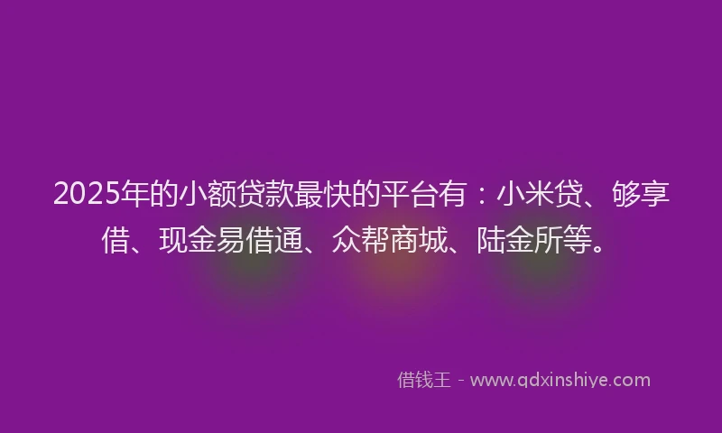 2025年的小额贷款最快的平台有：小米贷、够享借、现金易借通、众帮商城、陆金所等。