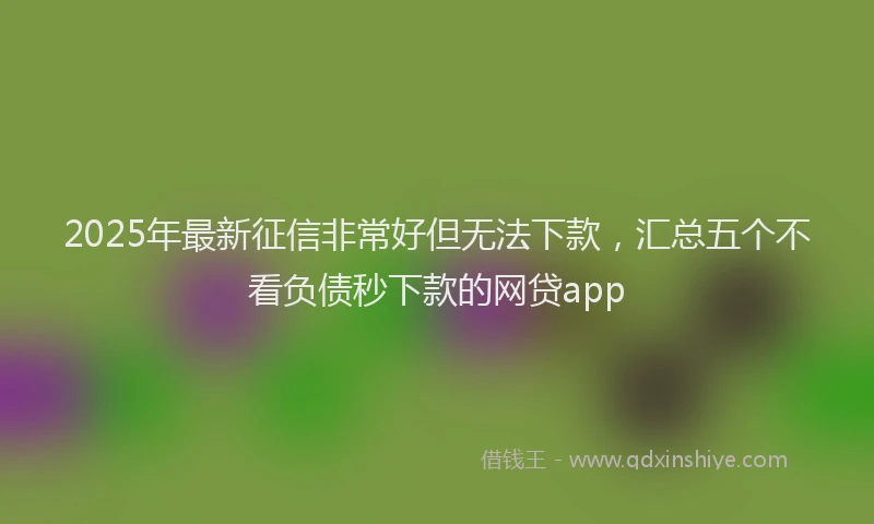2025年最新征信非常好但无法下款，汇总五个不看负债秒下款的网贷app