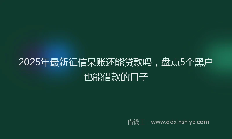 2025年最新征信呆账还能贷款吗，盘点5个黑户也能借款的口子