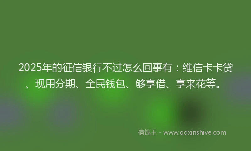 2025年的征信银行不过怎么回事有：维信卡卡贷、现用分期、全民钱包、够享借、享来花等。