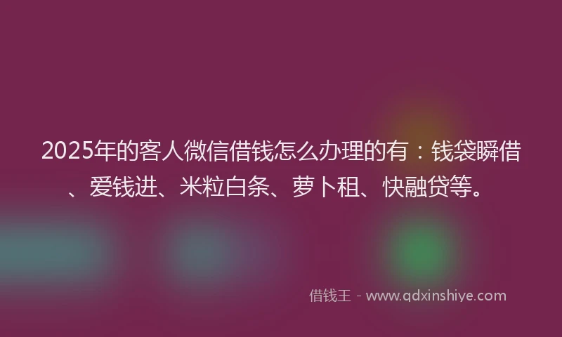 2025年的客人微信借钱怎么办理的有：钱袋瞬借、爱钱进、米粒白条、萝卜租、快融贷等。