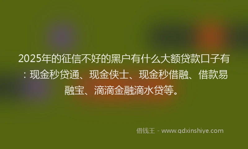 2025年的征信不好的黑户有什么大额贷款口子有：现金秒贷通、现金侠士、现金秒借融、借款易融宝、滴滴金融滴水贷等。