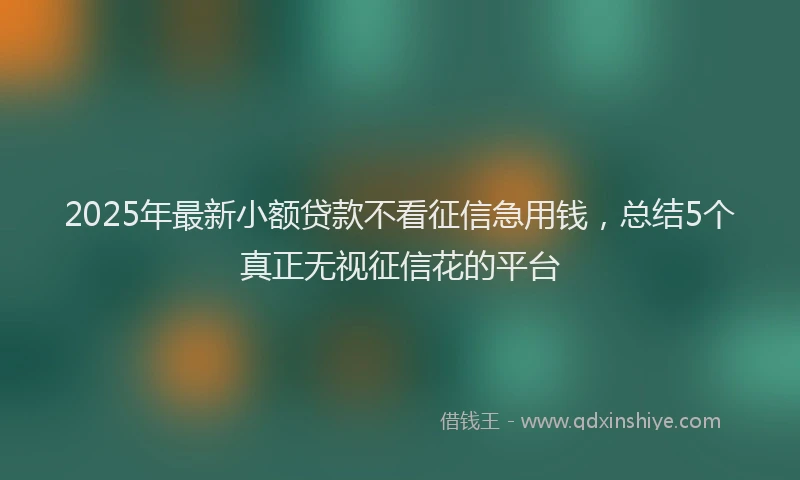 2025年最新小额贷款不看征信急用钱，总结5个真正无视征信花的平台