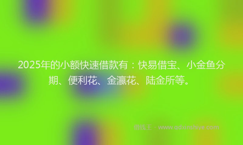 2025年的小额快速借款有：快易借宝、小金鱼分期、便利花、金瀛花、陆金所等。