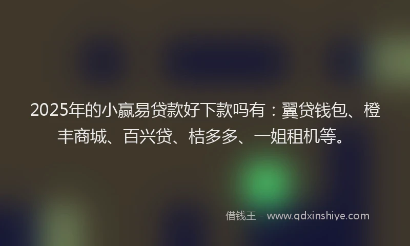 2025年的小赢易贷款好下款吗有：翼贷钱包、橙丰商城、百兴贷、桔多多、一姐租机等。