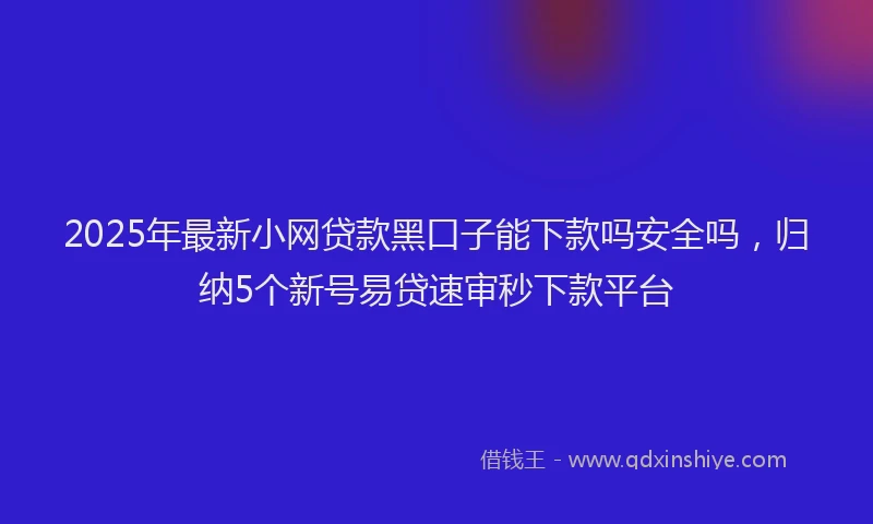 2025年最新小网贷款黑口子能下款吗安全吗，归纳5个新号易贷速审秒下款平台