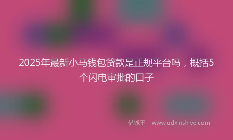 2025年最新小马钱包贷款是正规平台吗，概括5个闪电审批的口子
