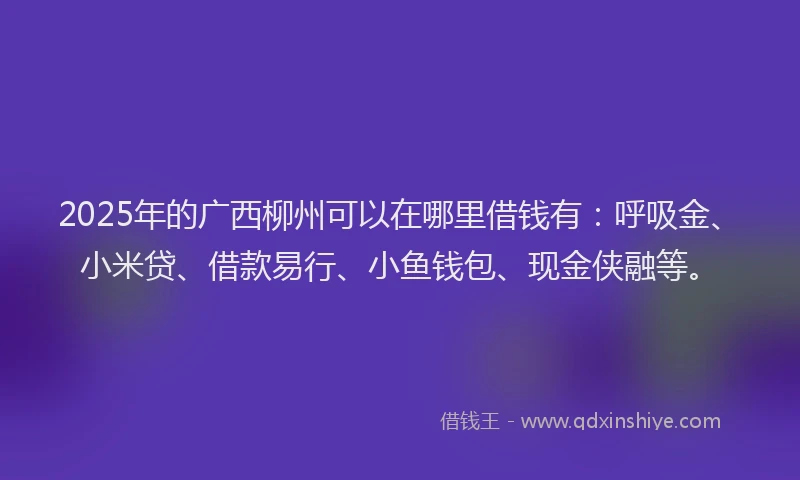 2025年的广西柳州可以在哪里借钱有:呼吸金、小米贷、借款易行、小鱼钱包、现金侠融等。