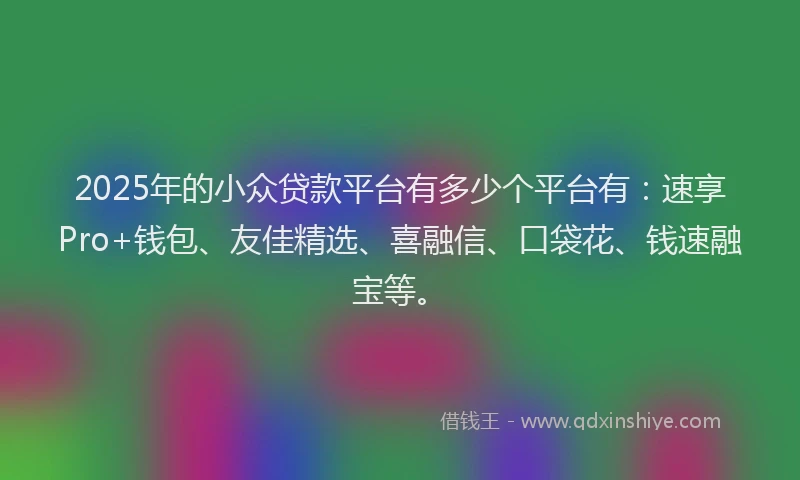 2025年的小众贷款平台有多少个平台有：速享Pro+钱包、友佳精选、喜融信、口袋花、钱速融宝等。