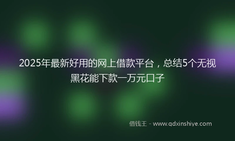 2025年最新好用的网上借款平台，总结5个无视黑花能下款一万元口子