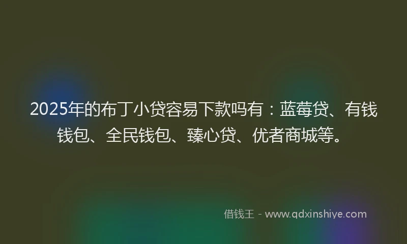 2025年的布丁小贷容易下款吗有：蓝莓贷、有钱钱包、全民钱包、臻心贷、优者商城等。