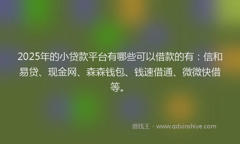 2025年的小贷款平台有哪些可以借款的有：信和易贷、现金网、森森钱包、钱速借通、微微快借等。