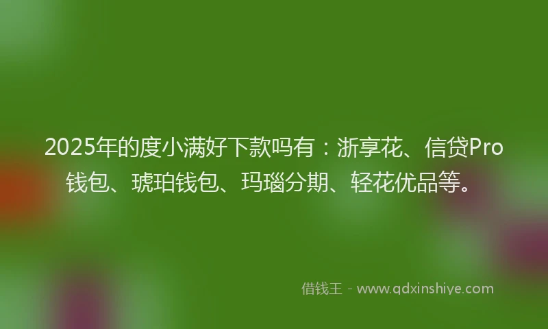 2025年的度小满好下款吗有：浙享花、信贷Pro钱包、琥珀钱包、玛瑙分期、轻花优品等。