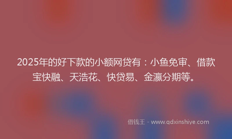 2025年的好下款的小额网贷有：小鱼免审、借款宝快融、天浩花、快贷易、金瀛分期等。