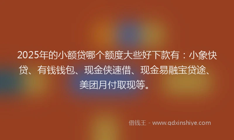 2025年的小额贷哪个额度大些好下款有：小象快贷、有钱钱包、现金侠速借、现金易融宝贷途、美团月付取现等。