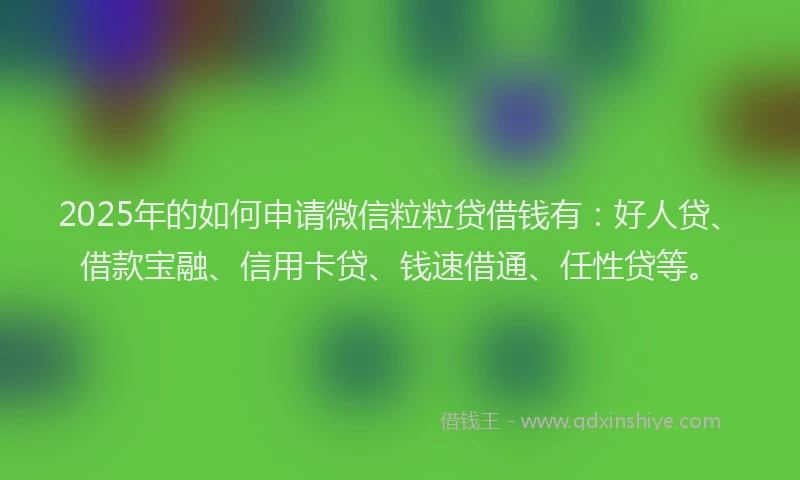 2025年的如何申请微信粒粒贷借钱有：好人贷、借款宝融、信用卡贷、钱速借通、任性贷等。