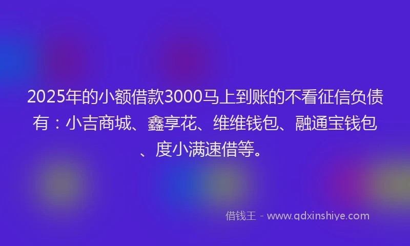 2025年的小额借款3000马上到账的不看征信负债有：小吉商城、鑫享花、维维钱包、融通宝钱包、度小满速借等。