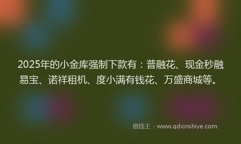 2025年的小金库强制下款有：普融花、现金秒融易宝、诺祥租机、度小满有钱花、万盛商城等。