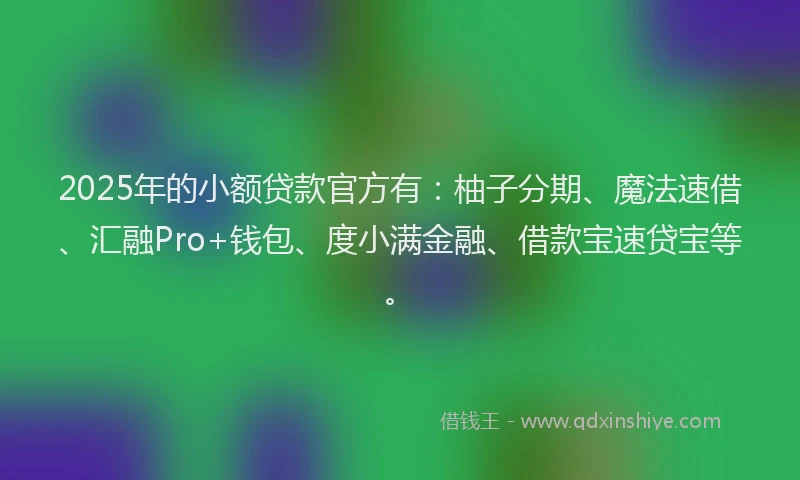 2025年的小额贷款官方有：柚子分期、魔法速借、汇融Pro+钱包、度小满金融、借款宝速贷宝等。