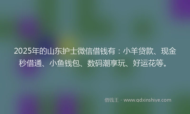 2025年的山东护士微信借钱有：小羊贷款、现金秒借通、小鱼钱包、数码潮享玩、好运花等。