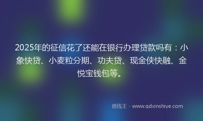 2025年的征信花了还能在银行办理贷款吗有：小象快贷、小麦粒分期、功夫贷、现金侠快融、金悦宝钱包等。