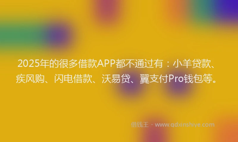 2025年的很多借款APP都不通过有：小羊贷款、疾风购、闪电借款、沃易贷、翼支付Pro钱包等。