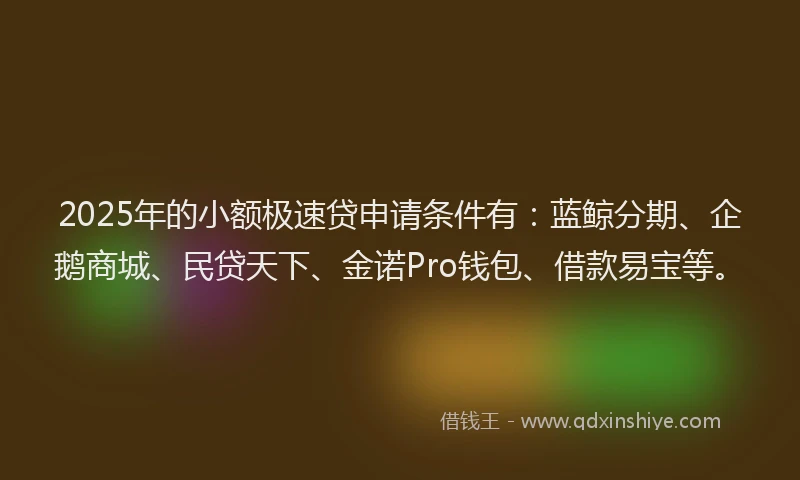 2025年的小额极速贷申请条件有：蓝鲸分期、企鹅商城、民贷天下、金诺Pro钱包、借款易宝等。