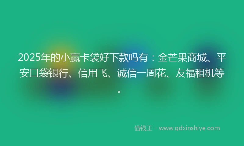 2025年的小赢卡袋好下款吗有：金芒果商城、平安口袋银行、信用飞、诚信一周花、友福租机等。