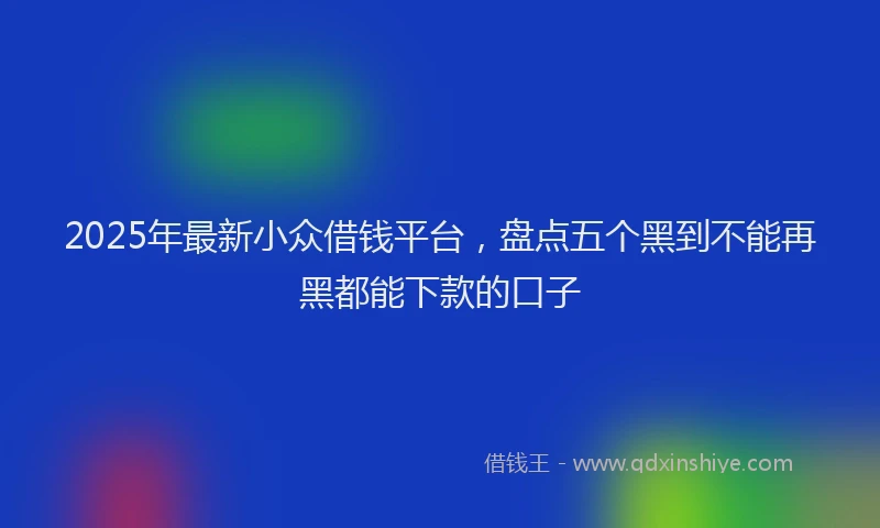 2025年最新小众借钱平台，盘点五个黑到不能再黑都能下款的口子