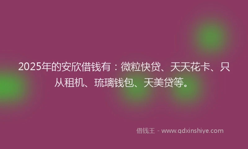 2025年的安欣借钱有：微粒快贷、天天花卡、只从租机、琉璃钱包、天美贷等。
