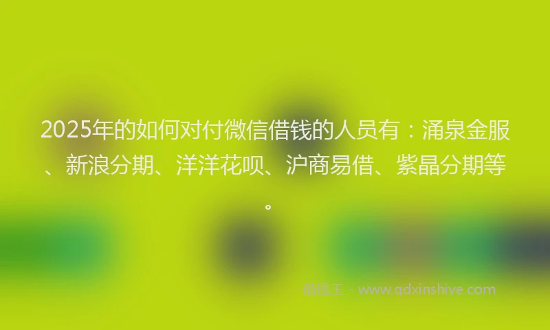 2025年的如何对付微信借钱的人员有：涌泉金服、新浪分期、洋洋花呗、沪商易借、紫晶分期等。