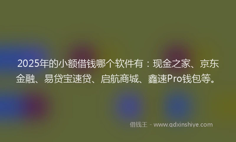 2025年的小额借钱哪个软件有：现金之家、京东金融、易贷宝速贷、启航商城、鑫速Pro钱包等。